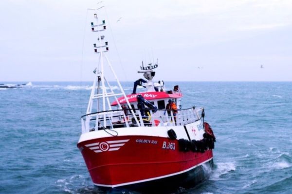 The Portavogie-based prawn trawler Golden Ray B 963, skippered by Fishing News Awards 2023 Over-10m Fisherman of the Year Darren McClements, has been at the forefront of successful trials of a new low-headline trawl in the Irish Sea fishery, to eliminate whiting and cod from the catch. This move, along with similar projects evaluating a twin codend trawl in the Farne Deeps, and a move towards trawl doors that avoid seabed contact, are building on steady improvements in selectivity and reduced seabed footprint in the prawn fleet over the last two decades.